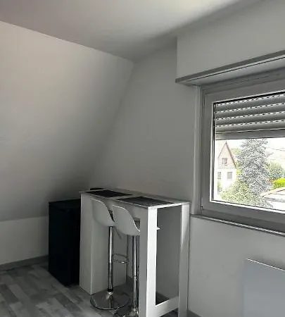 Entre Strasbourg Et Colmar Appartement *